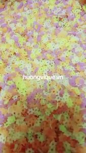 Nui Ngôi Sao Rau Củ Ngũ Sắc Sa Đéc - Túi 1000g - Đặc Sản Đồng Tháp