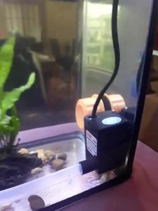 ปั๊มน้ำขนาดจิ๋ว SONIC AP-600 ปั๊มน้ำขนาดเล็ก ทำน้ำพุ ใส่ตู้ปลา หมุนลูกหิน water pumps โซนิค กว้าง 4.cm x ยาว 4.5cm x สูง 3cm