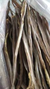 KHÔ CÁ LẠC CÂY Vị Lạt Vừa Ăn - Vựa Khô Tú Sương