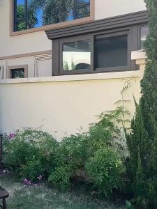 ZYHT EraVogue Đầm Váy nữ váy tím váy dài tay váy cổ vuông váy nhung váy xã hội cao váy cổ điển váy sự kiện váy dự tiệc váy Pháp 20981