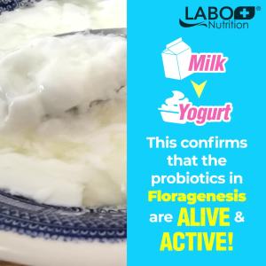 LABO Nutrition FloraGenesis 50 Billion CFU Live Probiotics 15 Strains for Women & Men - Gut Health Bloating Constipation Immune Recovery Allergy Skin Slimming Weight Heart Blood Lipid Liver • Made in Singapore •  30 Sachets