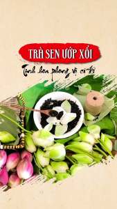 Trà Sen Ướp Xổi Sấy Thăng Hoa - Mộc Truly Huế