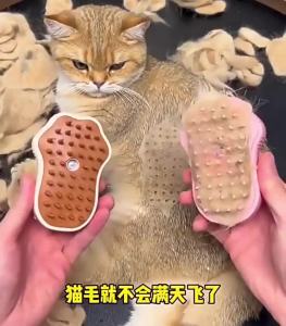 HATELI Bàn chải hơi nước cho mèo Xịt nước cho chó cưng Lược USB mềm có thể sạc lại bằng silicone Làm rụng lông Chó con Massage tắm Bàn chải tẩy lông Đồ dùng chải lông