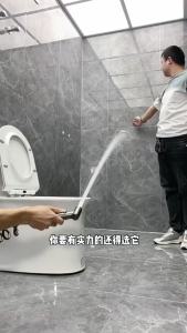 Ready Stock gun gray  Stainless Steel Bidet Sprayer Set Sanitary flusher