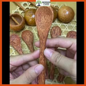 Muỗng gỗ dừa cán dài bền đẹp thủ công mỹ nghệ múc trái dâu tằm từ Nước cốt dâu tằm | Berries Farm