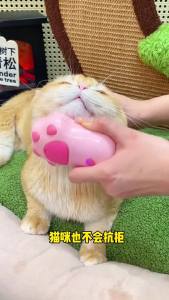 Lovinland Pet Brush Scraper Loose Hair Sticking Device Massage Spray Comb Cat Grooming Hair Removal Brush Hair Removal Season Pet Supplies