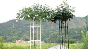 [Easybuy88] Plants Climbing Support Frame Plant Trellis Premium For Indoor And Outdoor Practical Multipurpose Home Garden Supplies