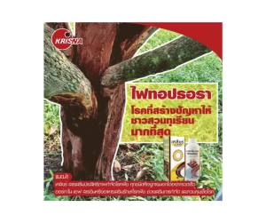 เคลียร์ (500cc) สารเสริมประสิทธิภาพ กำจัดและหยุดการลุกลามของโรคพืช กำจัดเชื้อรา จำกัดแบคทีเรีย ไวรัส