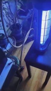 20W Baby Anti-shock Bedroom Mosquito Killer Lamp Plug-in Insect Fly Portable Insect Killers