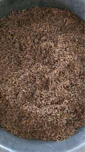 ส่งฟรี !! แกลบหมัก แกลบเก่า หมักขี้วัวเสริมแร่ธาตุ (Rice Husk) บรรจุ 5 กก. | พร้อมใช้งาน ผสมดินปลูกเพิ่มความโปร่ง