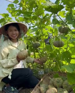 Gói 10 Hạt giống Bí đỏ cao sản | Tỷ lệ nảy mầm cao | Dễ trồng