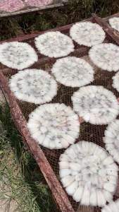 500gr Bánh Tráng  Mực Thân Mực Trắng Giòn Dai Tự Nhiên- ĐẶC SẢN MINH TRIẾT