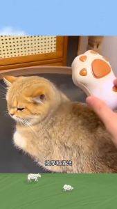 Lovinland Bàn chải thú cưng cạp Thiết bị dính lông lỏng lẻo Lược xịt massage Chải lông cho mèo Bàn chải tẩy lông Mùa tẩy lông Đồ dùng cho thú cưng