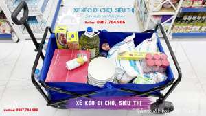 Xe kéo dã ngoại gấp gọn xe đẩy cắm trại gấp gọn xe đựng đồ câu cá sản xuất tại Việt Nam