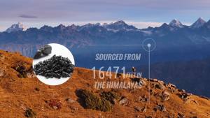 Pure Shilajit Resin Gummies 800mg Enhance Liver Metabolism Lowering Blood Sugar Anti-Fatigue Energy Support for Men and Women