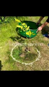 [LIULIU MEI]ขอบกั้นดิน 10*1000ซม ที่กั้นดินไหล ที่กั้นดิน ที่แบ่งดิน จัดสวน กั้นหญ้าและหิน (Border Curb) ขอบกั้นหญ้าและดิน ไม่จำเป็น ต้องใช้หมุด