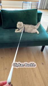 POODEE Korean Style Cat Harness with Leash Set Pet Walking Vest Lead Harness Adjustable Soft Mesh Kitten Puppy Small Dog