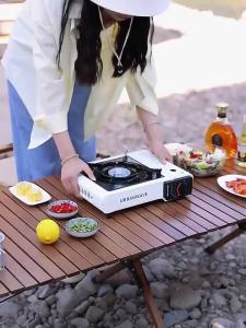 3500W 2 in 1 portable gas butane stove electric single butaine stove outdoor camping stove mini