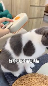 Teekland Pet Cat and Dog Comb Electric Massage Comb Bath Brush Silicone Quick Cleaning Hair Shedding Period Essential Anti Floating Hair