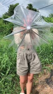 [นายฮ้อยยุทธสโตร์] ร่มโปร่งใส หลากสี แต่งงานโฆษณา ตกแต่งร้าน สตูดิโอ ร้าน บาร์ ต่างๆ