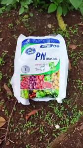 Pupuk KNO3 Putih Mempercepat Pertumbuhan & Pembuahan
