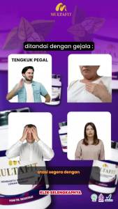 MULTAFIT Obat Herbal Kolesterol Lemak Darah Jantung dan Stroke Ringan BPOM