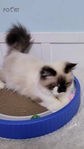 FOCAT Garukan Anabul Dengan Mainan Bola M56/M57 Cat Scratcher Board / Tempat Tidur Kucing Anjing