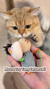 POODEE 3 in 1 Mouse Premium Quality Cat Play Toy Cat Teaser Pet Toy Mainan Kucing Mice Toy Tikus Catnip Cat Scratch