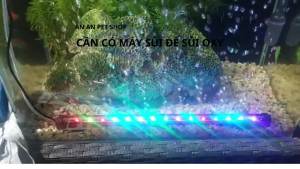 Thanh sủi Oxy kết hợp Đèn LED đổi màu kích thước đa dạng (Lưu ý: Cần có máy sủi để sủi oxy)