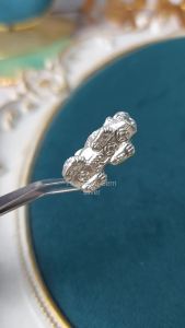 Charm bạc Tỳ Hưu thiên lộc size 23.9mm x 10mm kiểu xỏ ngang C0205 Hoa Minh Gem