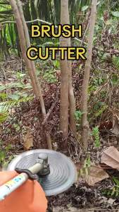 Mata Pisau Mesin Potong Rumput Bulat 255 mm x 25.4 mm 40 T Gigi - Merk RedFox