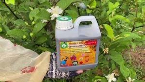 น้ำหมักปลาทะเล100% สูตร 2 จากสวนพิวาโร่ เร่งดอก เร่งการเจริญเติบโต