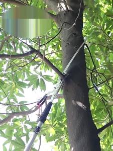 กรรไกรตัดกิ่งด้ามยาว กรรไกรตัดกิ่ง สำหรับตัดกิ่งไม้สูง ด้ามไสลด์ได้ยาว 3~8 เมตร มีรอกช่วยผ่อนแรง เลื่อยตัดกิ่งไม้สูง SK5 แข็งแรง คมทนทาน กรรไกรตัดกิ่งไม้สูงพร้อมด้าม