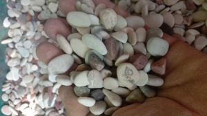 PROMO 5KG BATU KORAL PANCAWARNA AKUARIUM DAN TAMAN