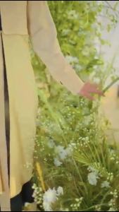 BAJU GAMIS WANITA NIBRAS NB B116 VANILLA / BAJU DRESS GAMIS REMAJA CASUAL DAILY OUTFIT