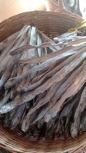 1kg Khô Cá Hố Trắng Nguyên Con Nướng Thơm Phức Thịt Ngọt- ĐẶC SẢN MINH TRIẾT