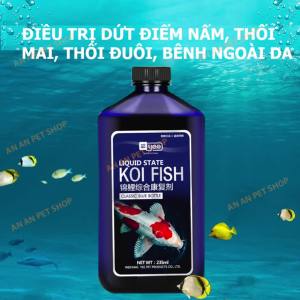 YEE Koi Fish | Dung dịch trị Nấm Thối mai Thối đuôi và Bệnh ngoài da cho Cá KOI