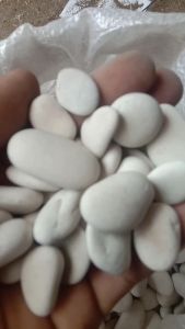 Batu putih kupang 1kg akuarium dan taman