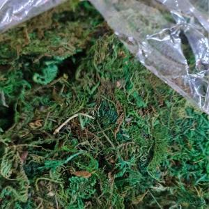 800g artificial green moss lumut hiasan lumut orkid artificial plants DIY decorative green moss lumut hiasan hijau artificial reindeer moss Decoration Decoration