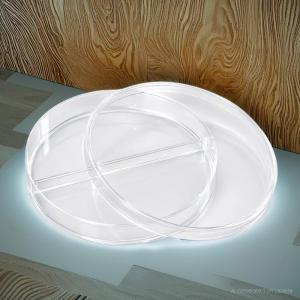 PETRIDISH PLASTIC 2 ROOM STERILE 10PCS/PACK LABOPETTE