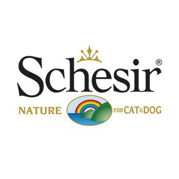 Schesir