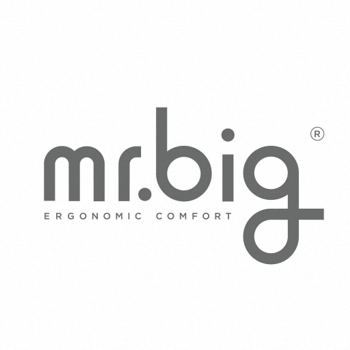 mr.big