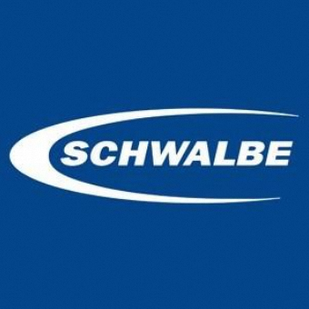 Schwalbe