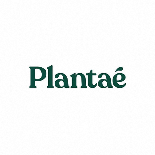 Plantae