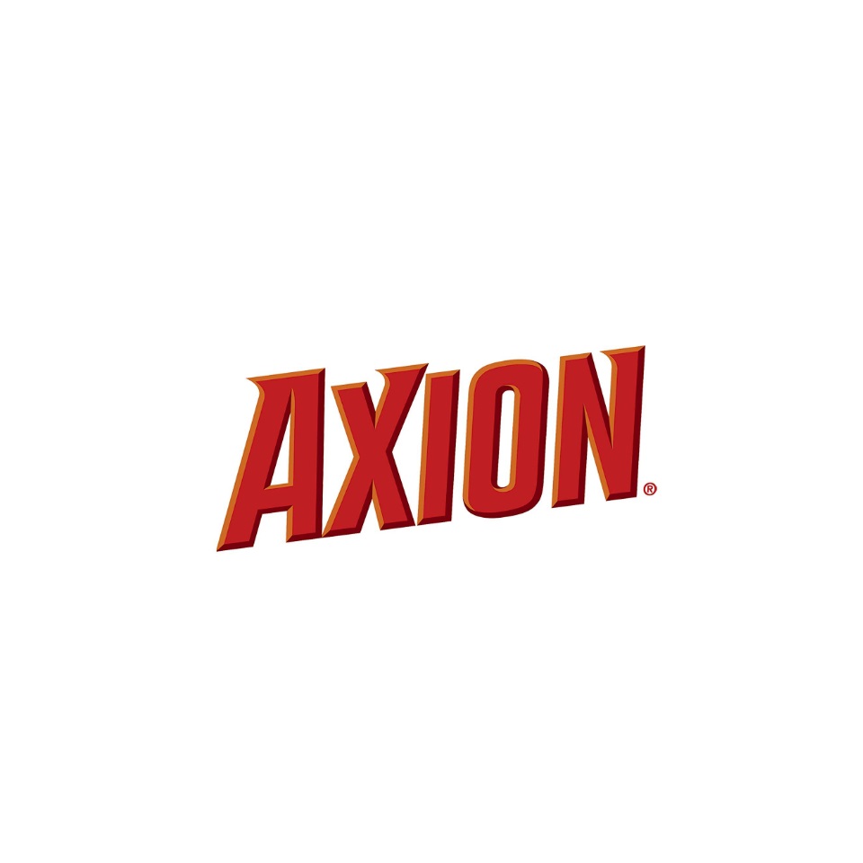 Axion