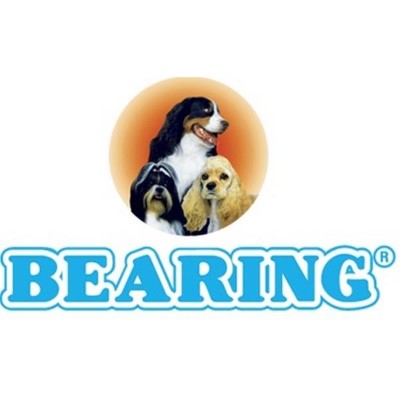 Bearing