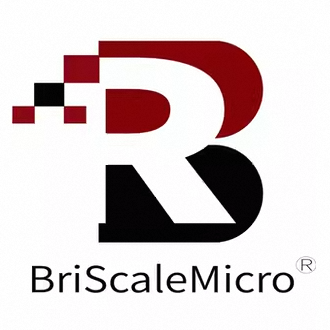 BriScalemicro