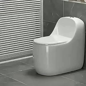 JOMOW | Home Use Siphonic Egg-Shaped Anti-Clogging Odor-Proof Frost-Resistant Water-Saving Toilet