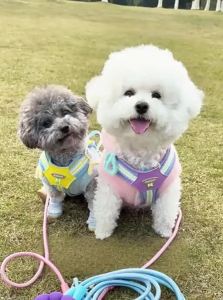 VOA | Dual Dog Anti-Tangle Adjustable Leash