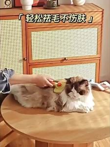 VOA | Pet Hair Removal Brush for Cats and Dogs